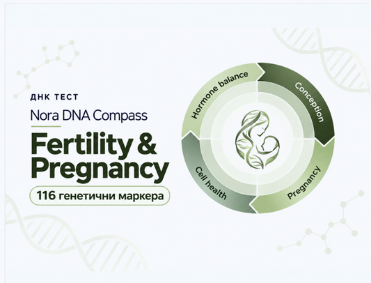 Nora DNA Compass: Fertility & Pregnancy
