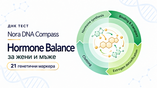 NORA DNA Compass: Hormone Balance