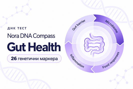 Nora DNA Compass: Gut Health