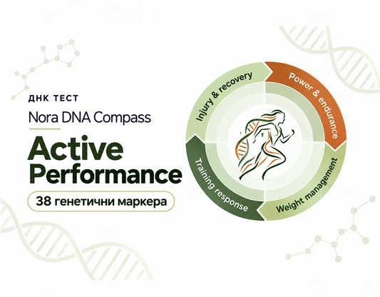 Nora DNA Compass: Active Performance