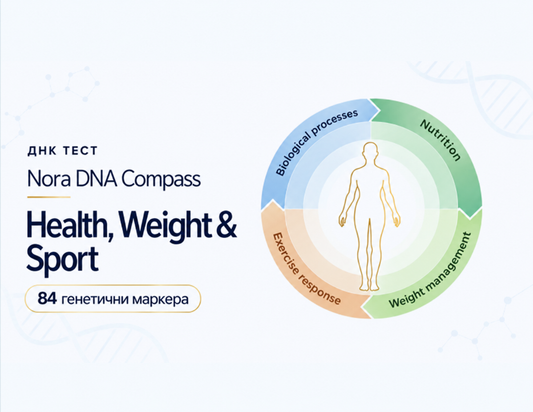 Nora DNA Compass: Health, Weight & Sport